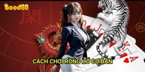 Cách chơi rồng hổ cơ bản Good88: Hướng Dẫn Từng Bước Cho Người Mới Bắt Đầu